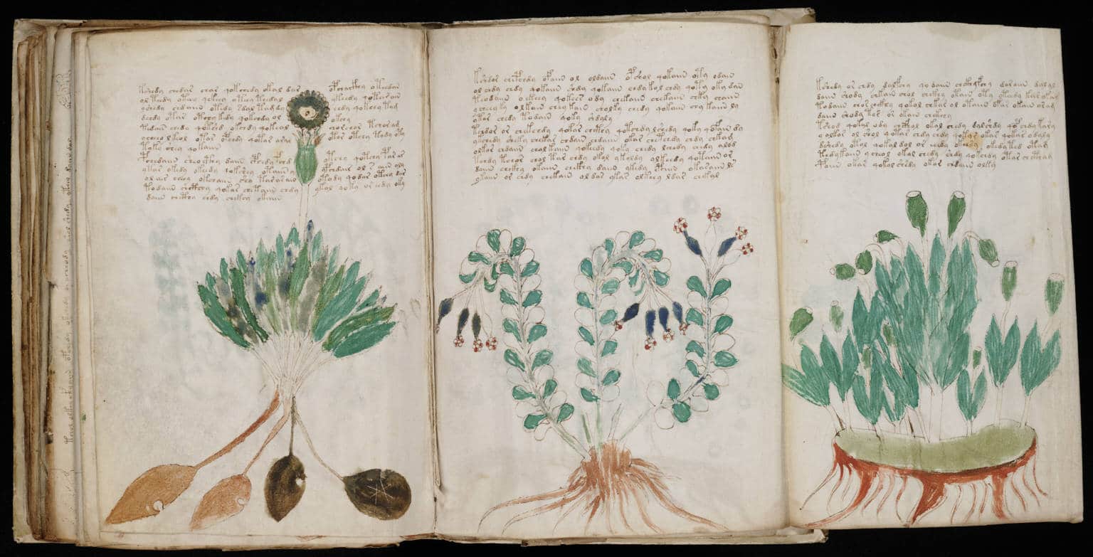 Voynich Manuscript 170 Voynich Manuscript 170