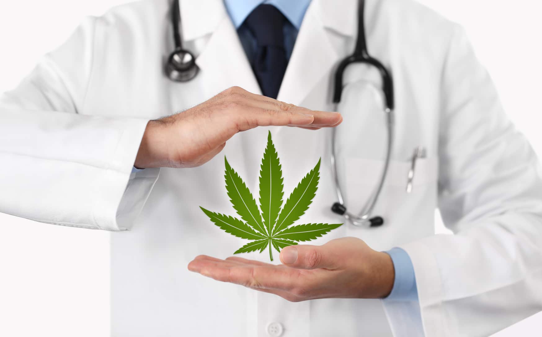 sondage les français et le cannabis btlv.fr