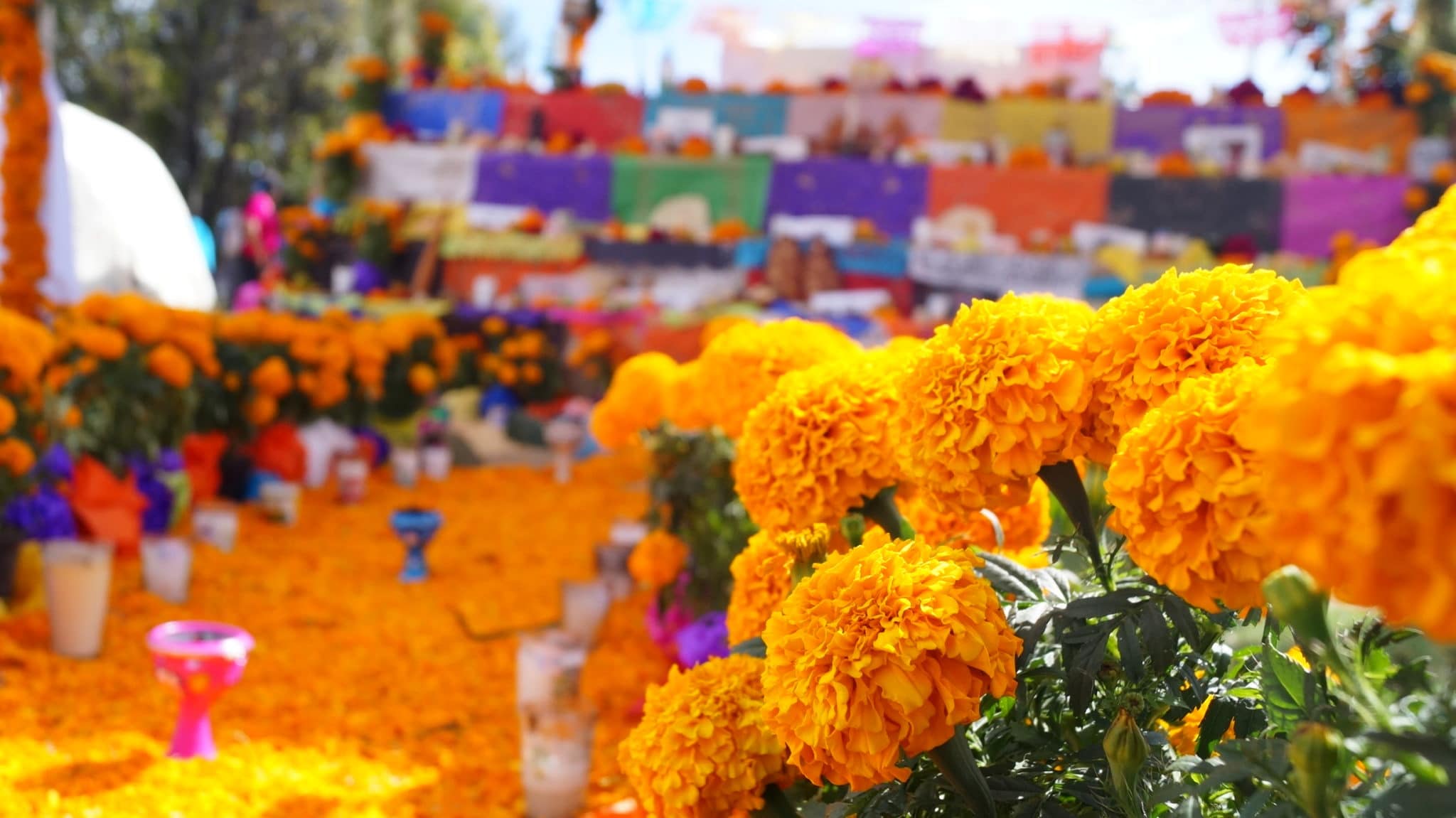 Couronne de fleurs Día de los Muertos ou déguisement pour Halloween mexicain, faite main - Vêtements