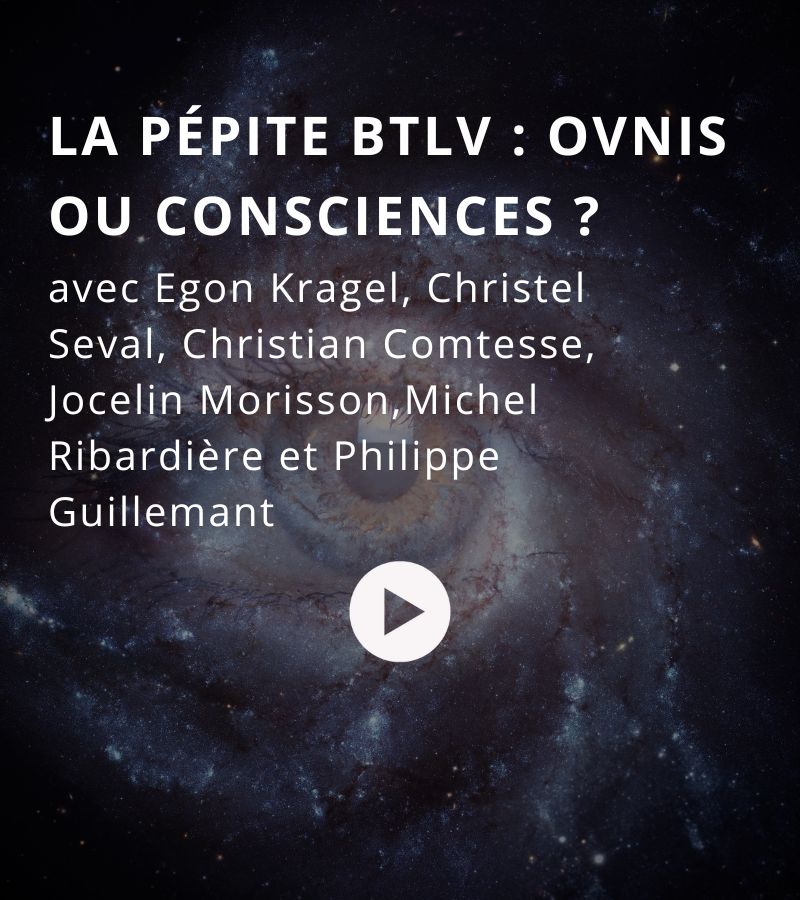 template vignette site pepite btlv conscience