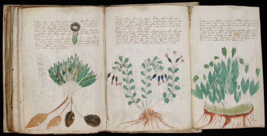 Voynich Manuscript 170