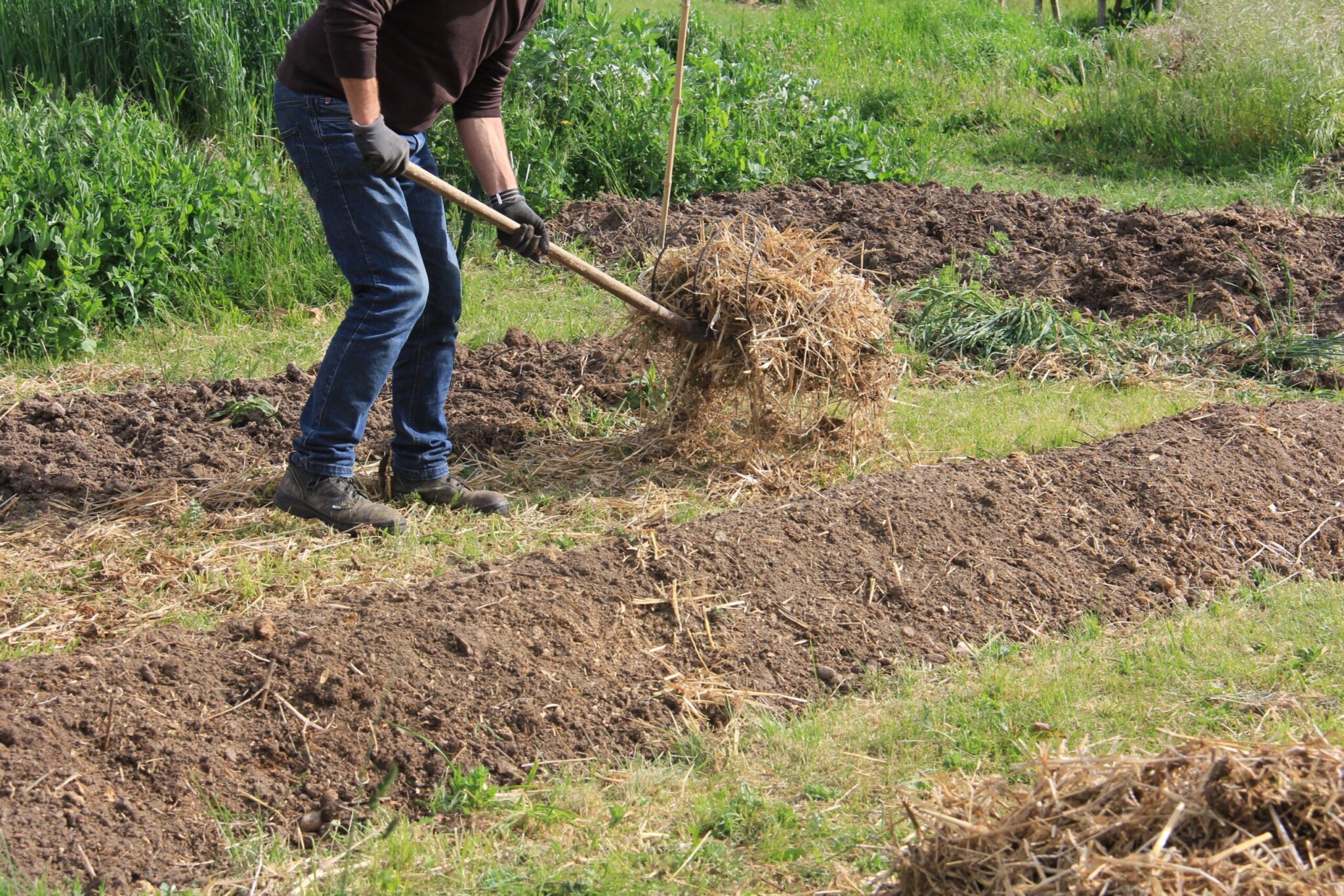 agroécologie scaled