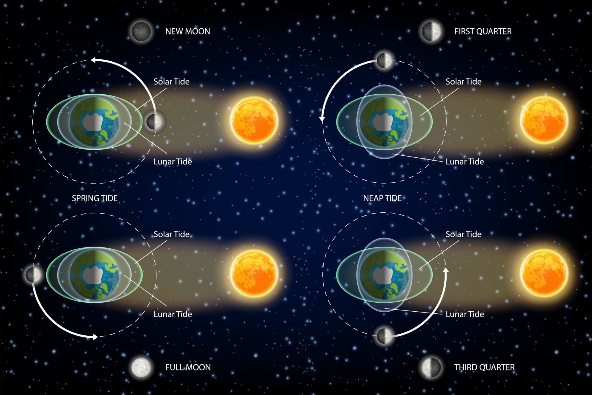 (SCIENCE) C’est scientifiquement prouvé, la Lune influe sur notre