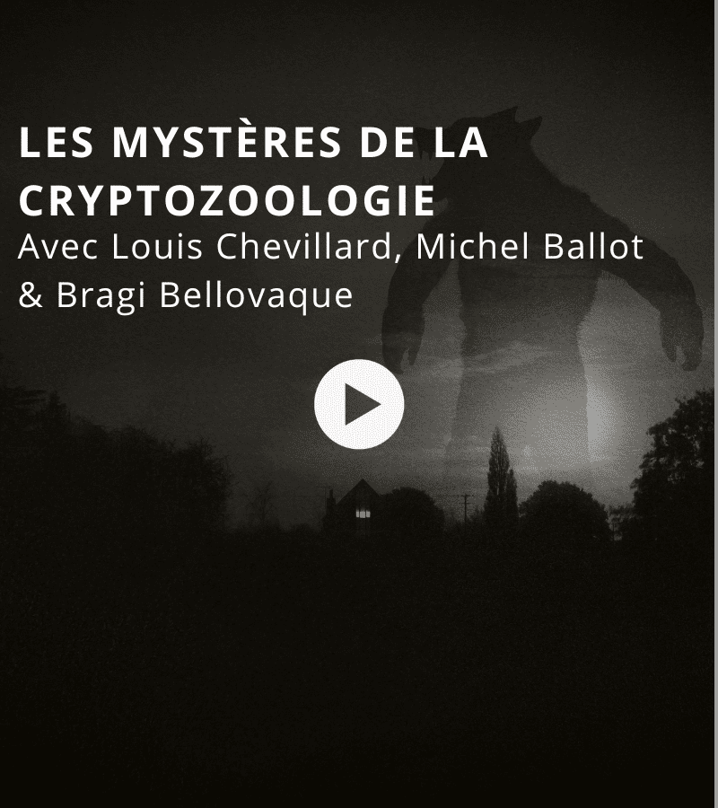 Les mystères de la cryptozoologie avec Louis Chevillard, Michel Ballot & Bragi Bellovaque