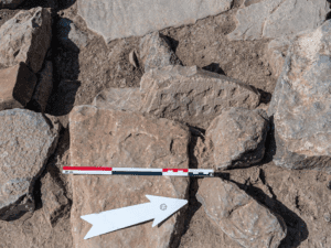 Jeu de société vieux de 4500 ans jeu de société