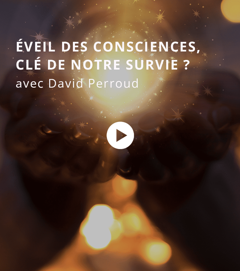 eveil des consciences cle de notre survie David Perroud