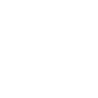 BTLV Logo