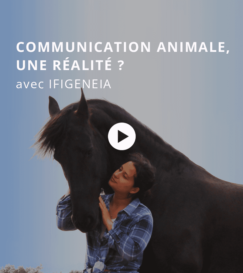 La communication animale, une réalité ? avec Ifigeneia