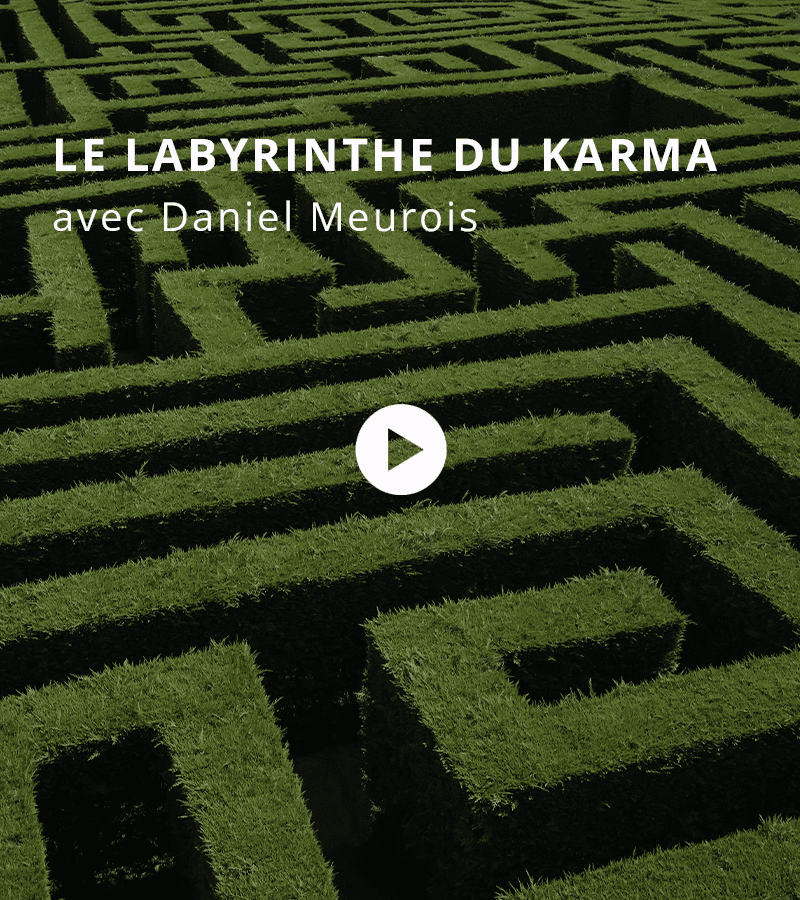 Le labyrinthe du Karma avec Daniel Meurois