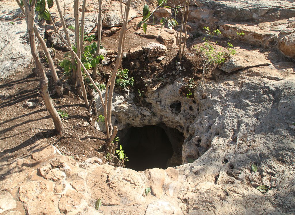 Les ruines d’une cité Maya découverte au Mexique Les ruines d'une cité Maya découverte au Mexique