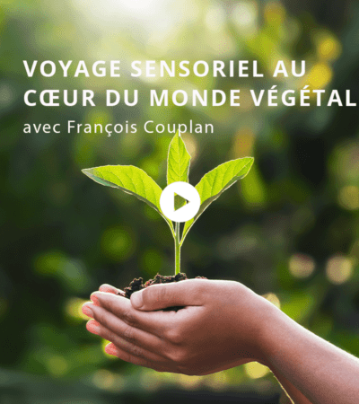 Voyage sensoriel au cœur du monde végétal avec François Couplan
