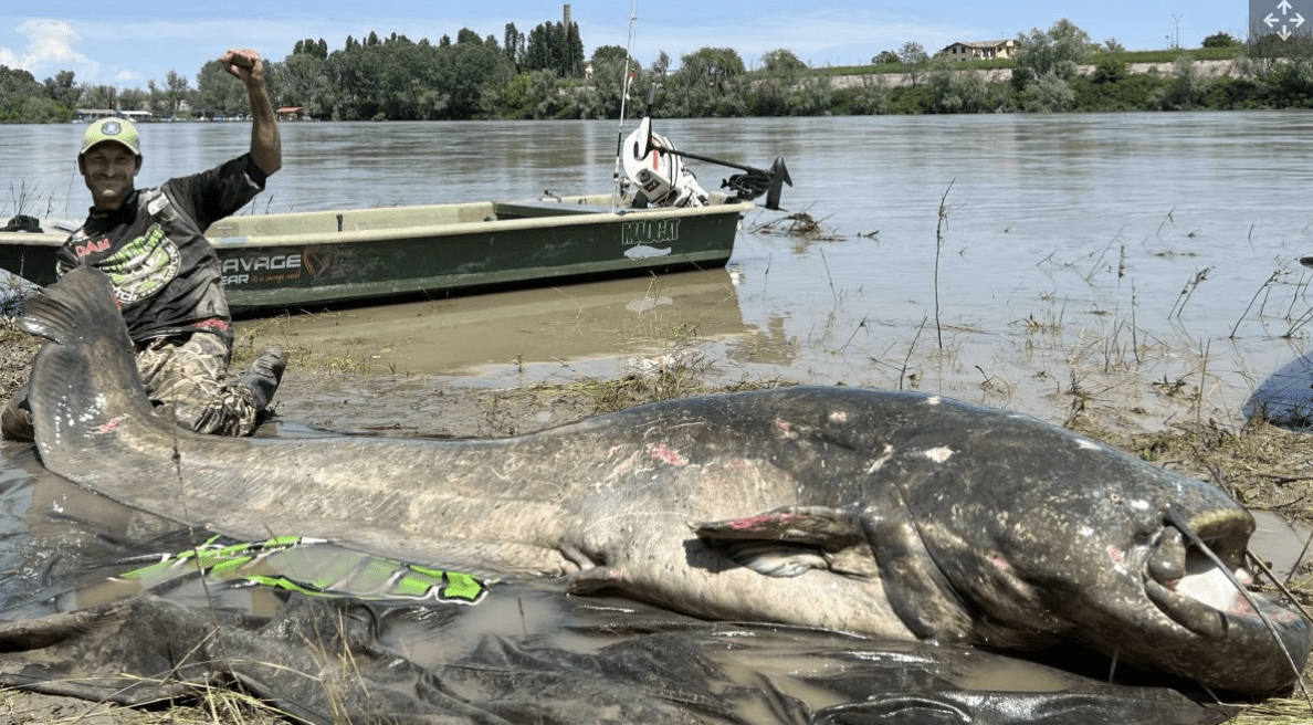 Gros leurre = gros poisson ? Une vérité ou bien une vielle