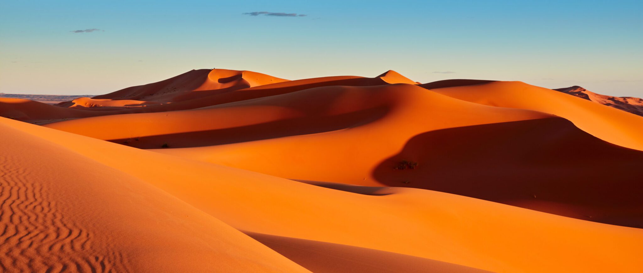 Qu'y a-t-il sous le sable du désert ?