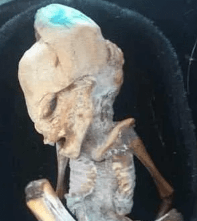 Une nouvelle petite momie au crâne allongé découverte en Colombie