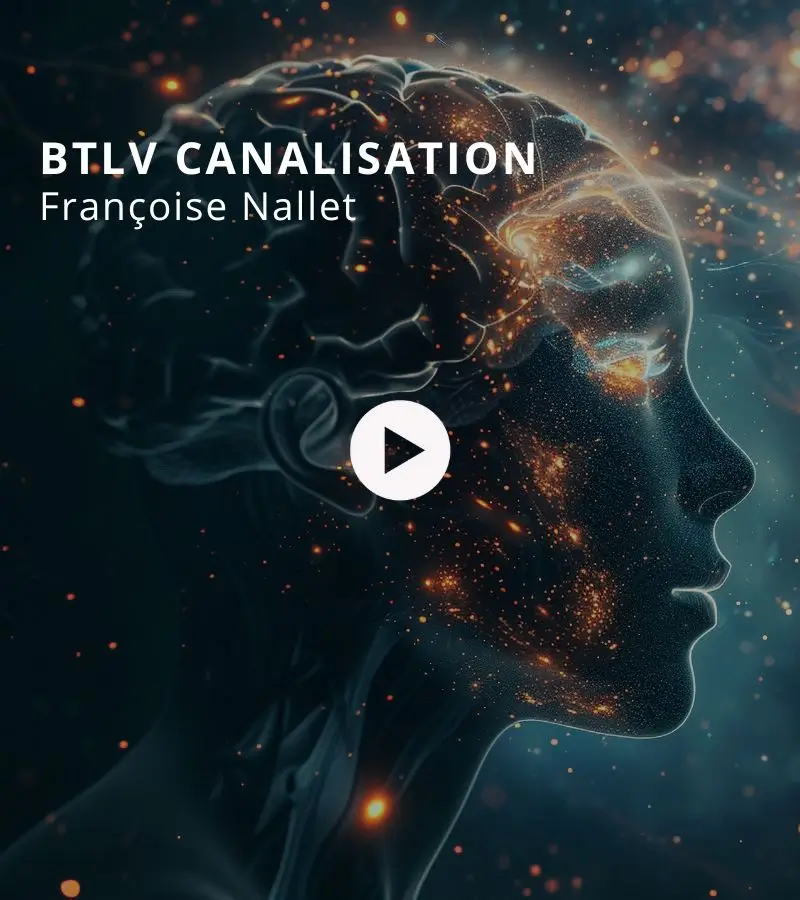 BTLV CANALISATION