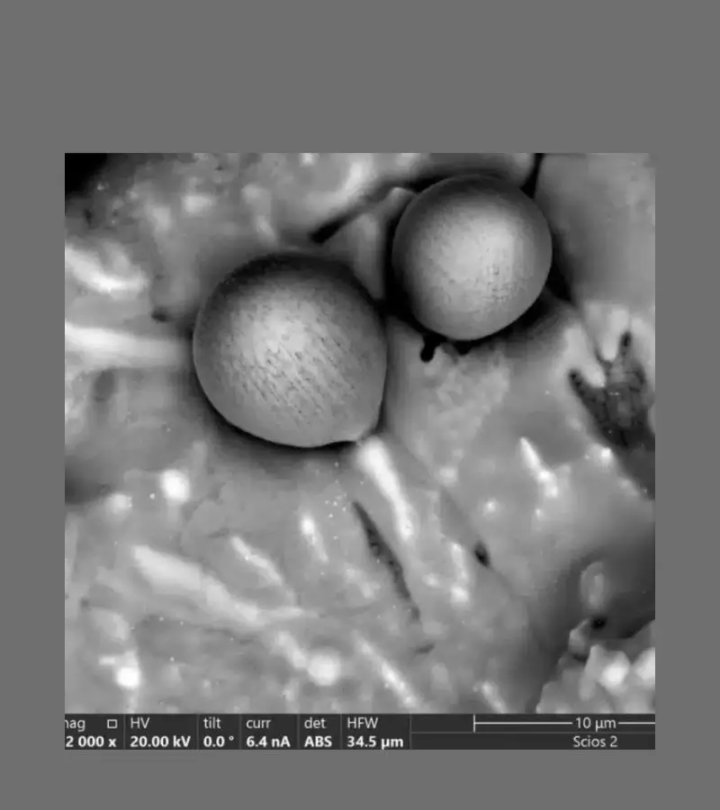 Extraterrestre : une nouvelle étude jette un doute supplémentaire sur les sphérules d’Avi Loeb